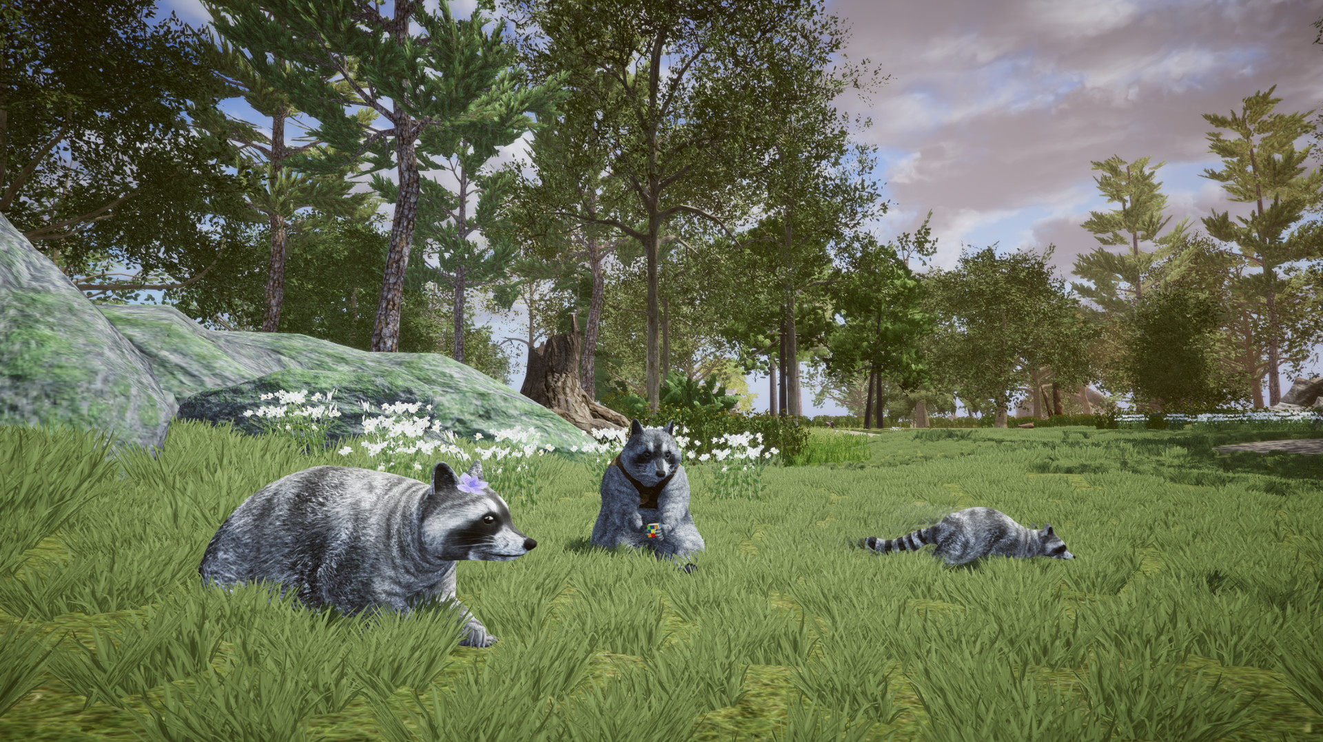 Comprar Wanted Raccoon – Jogo completo (Steam) com desconto - Loca Play